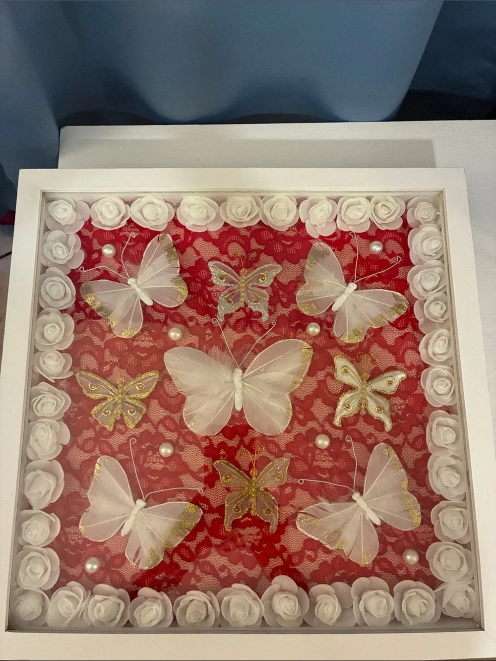 Hand Crafted White Butterfly Shadow Box Frame with Red Lace Backing